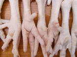 Quality Grade A Frozen Chicken Feet, Paws, Breast, Whole Chi - photo 1