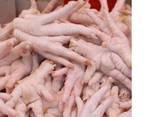 Quality Grade A Frozen Chicken Feet, Paws, Breast, Whole Chi - photo 3