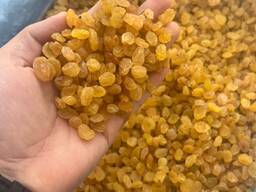 Raisins Golden Kalifar