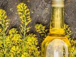 Рапсовое масло , Rapeseed oil - photo 1