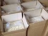 Raw Cashew Nuts Wholesale Competitive Prices - photo 1
