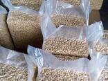 Raw Cashew Nuts Wholesale Competitive Prices - photo 3