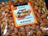 Raw Dried Bitter Apricot Kernels - photo 1