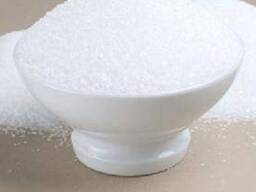White sugar for sale 1000 Tons