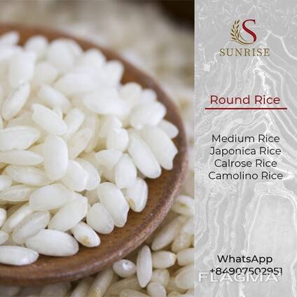 Round Rice from Vietnam