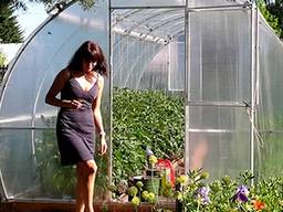 Sale of greenhouses from the manufacturer in the Republic of Belarus