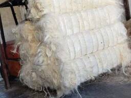 Sisal Fiber for sale