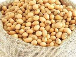 Soybean protein