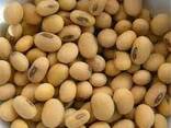 Soybean protein - photo 2
