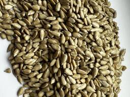 Sunflower Kernel