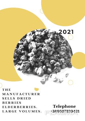 The manufacturer sells dried elderberry Sold from 10 tons