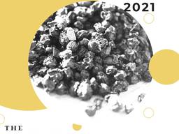 The manufacturer sells dried elderberry Sold from 10 tons