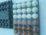 Transparent packaging for chicken and quail eggs for 6, 10,