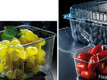 Transparent packaging for chicken and quail eggs for 6, 10, - photo 3
