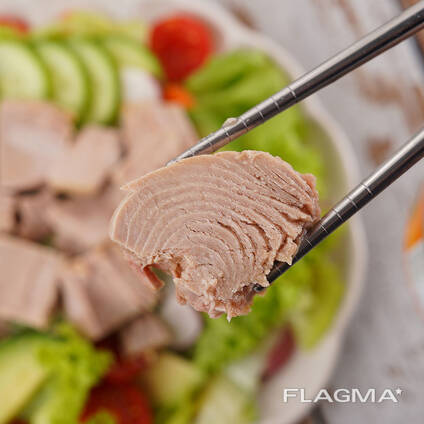 Tuna Preserved in Oil