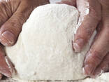 Wheat flour best grade FCA usa - photo 2