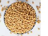 Yellow Soybeans Delicious Soybeans Sale - photo 4